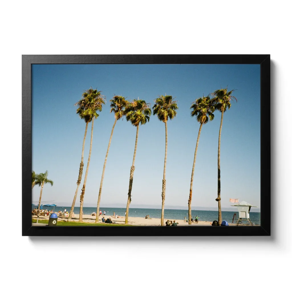 Bildaufnahme von Palmen in Santa Barbara und dahinter der blaue Pazifik und Strand