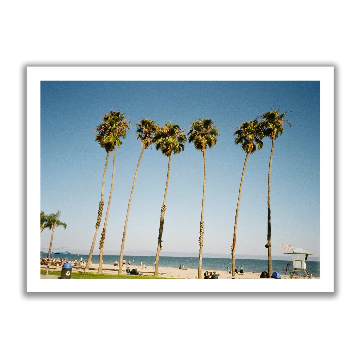 Palms of Santa Barbara Bildaufnahme von Palmen in Santa Barbara und dahinter der blaue Pazifik und Strand