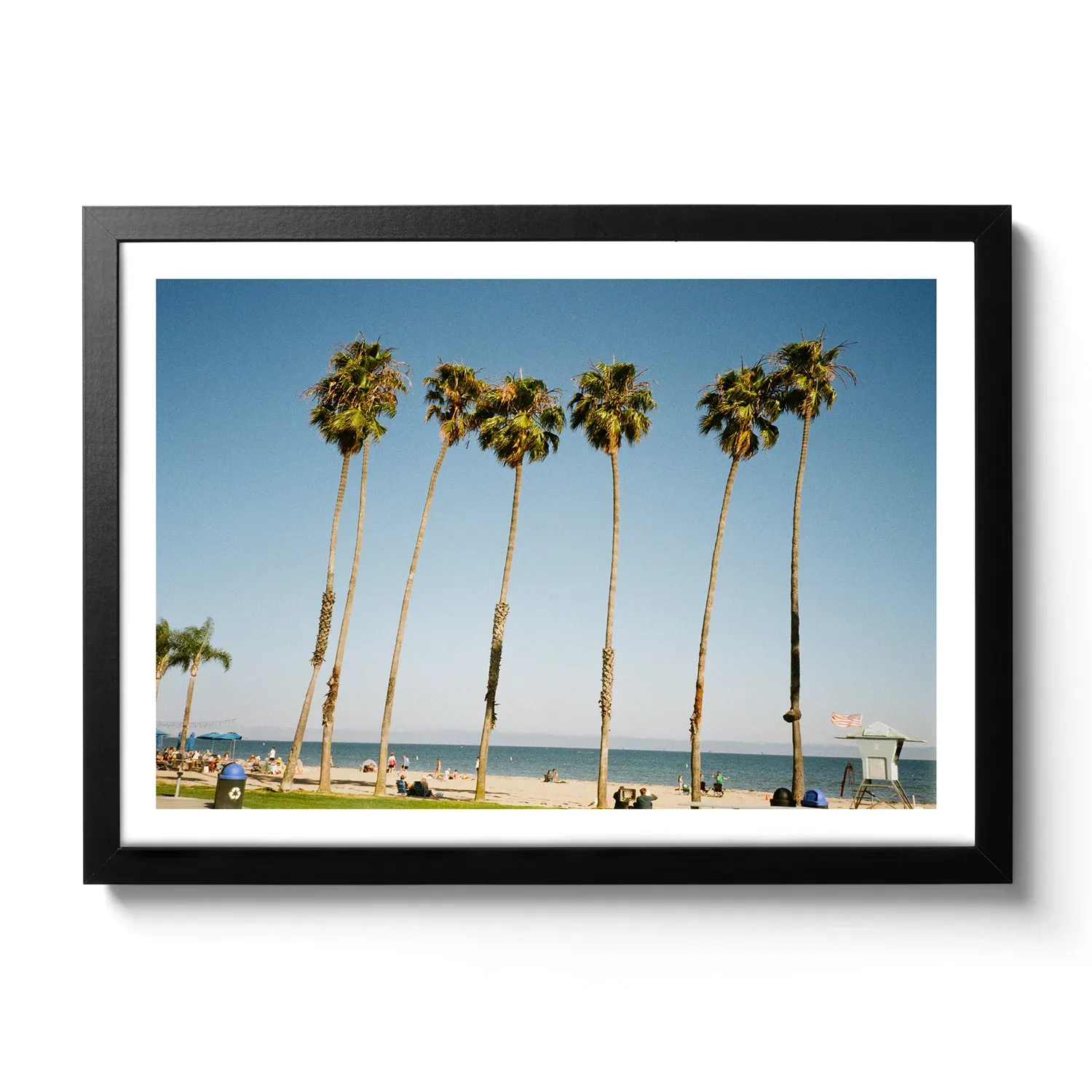Palms of Santa Barbara Bildaufnahme von Palmen in Santa Barbara und dahinter der blaue Pazifik und Strand