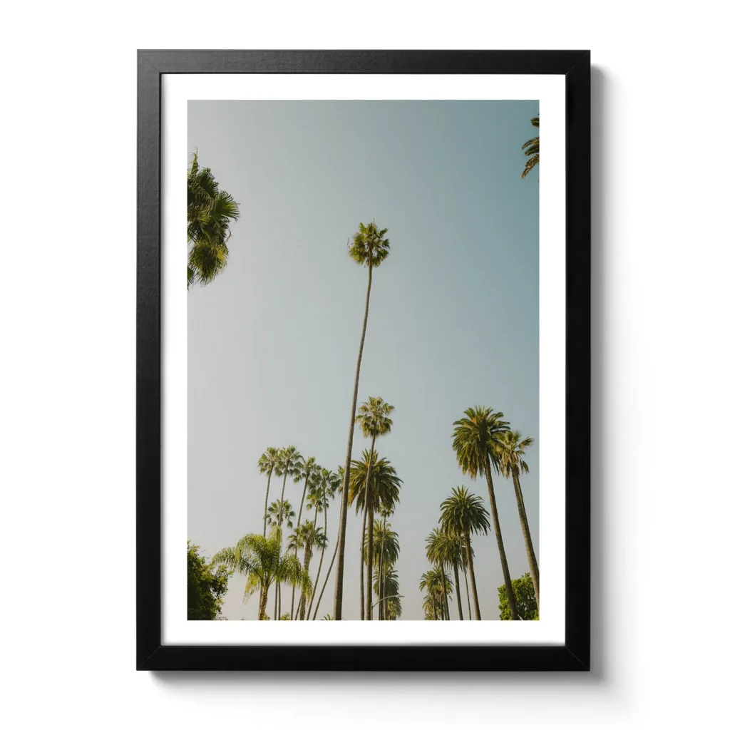 Another Random Palm