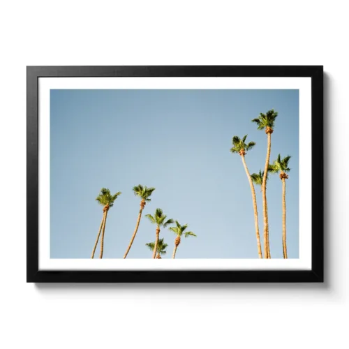 Pictures of palm trees towering upwards and the blue sky behind them. Vintage look.