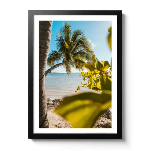 Image of a small boat that can be seen on the horizon outside. It was photographed through palm trees.