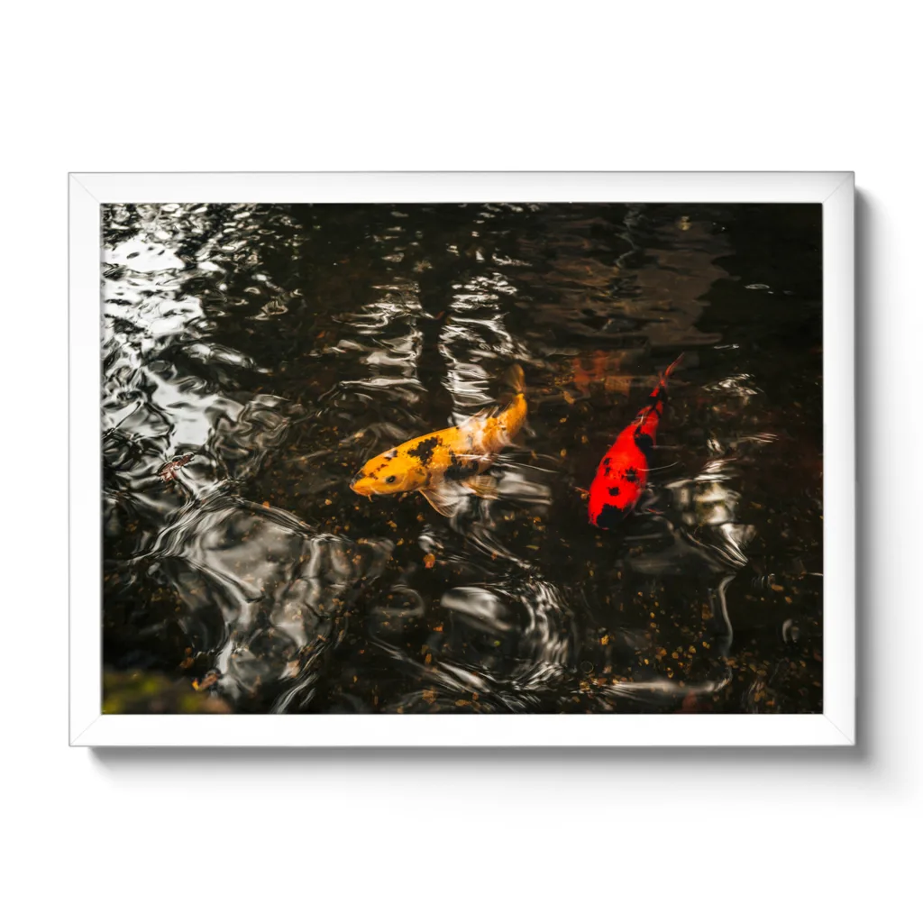 Catch Fish – Bild 4