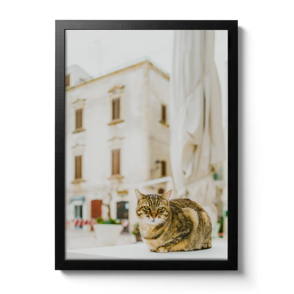 Dreamy Cat – Bild 3
