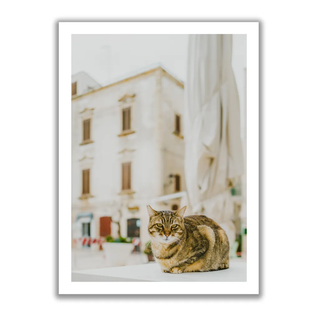 Dreamy Cat – Bild 2