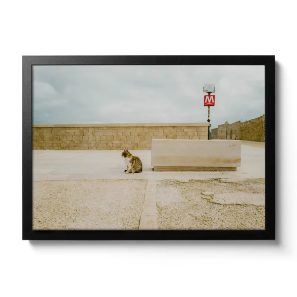 Bildaufnahme einer gestreiften Katze die in die Ferne sieht und dahinter befindet sich ein "M" Schild für Metro.