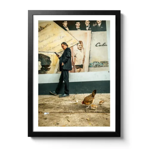 Bildaufnahme eines Mannes der vor einer typischen kubanischen Graffiti Wand steht und auf sein Handy schaut. Vor Ihm laufen ein paar Hühner herum.