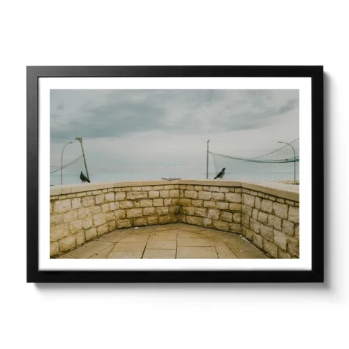 Bildaufnahme von zwei Tauben die sich um den Pizzakarton streiten.